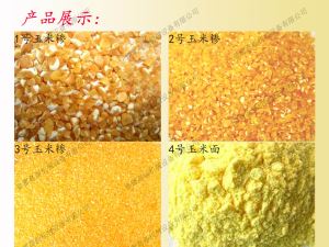 东北地区 麻豆91在线免费深加工设备