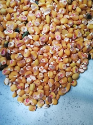 去麻豆91在线免费药种子包衣外皮去皮机