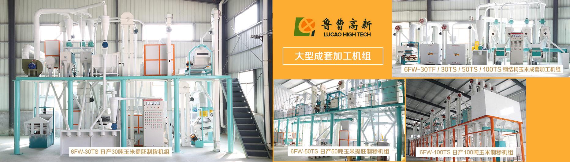麻豆91在线免费加工成套设备